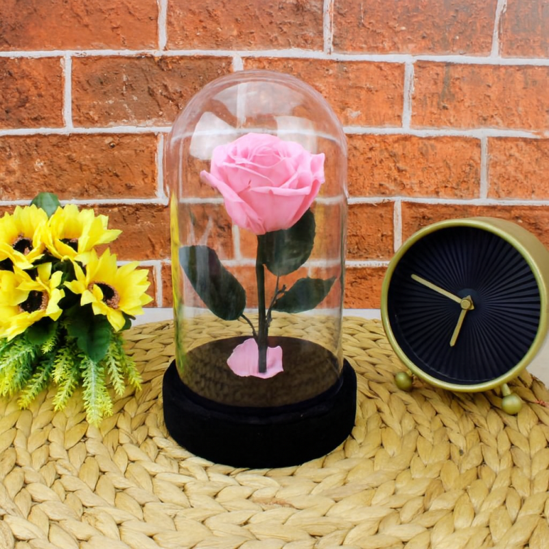 LED Işıklı Cam Fanus İçinde Gül – Romantik Masal Hediye