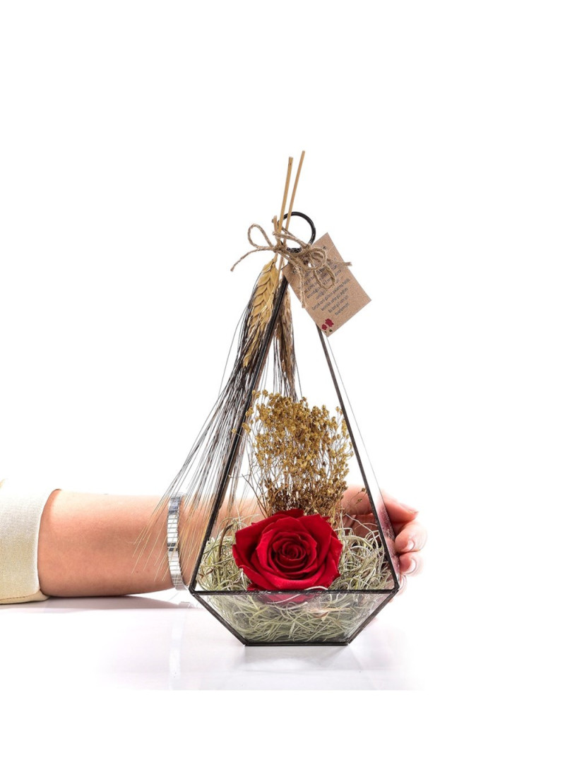 Kırmızı Solmayan Gül Cam Teraryum – Kalıcı Aşkın Zarif Simgesi