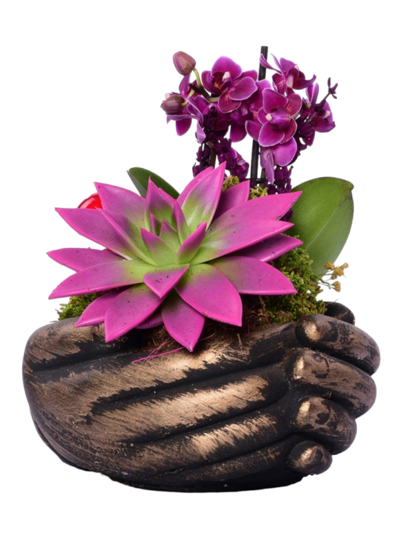 El Figürlü Sukulent ve Orkide Aranjmanı – Zarif ve Anlamlı Hediye