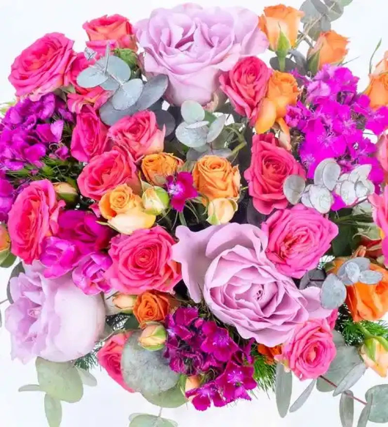 Botanik Rüya Renkli Çiçekler