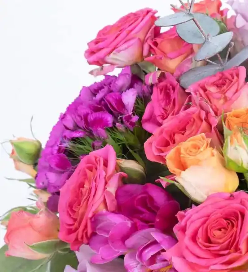 Botanik Rüya Renkli Çiçekler