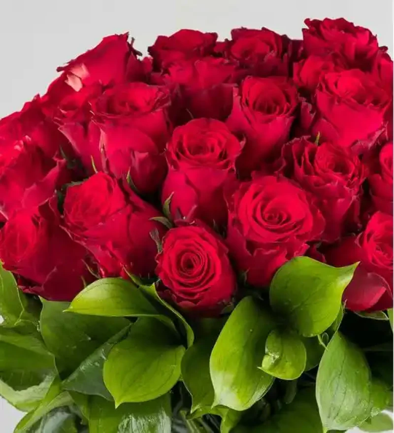 Ateş Böceği Premium 50 Kırmızı Gül Buketi
