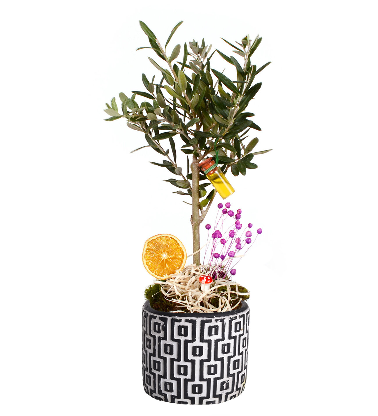 Desenli Saksıda Bonsai Zeytin Ağacı - Çiçek Sepeti - İstanbul çiçek siparişi
